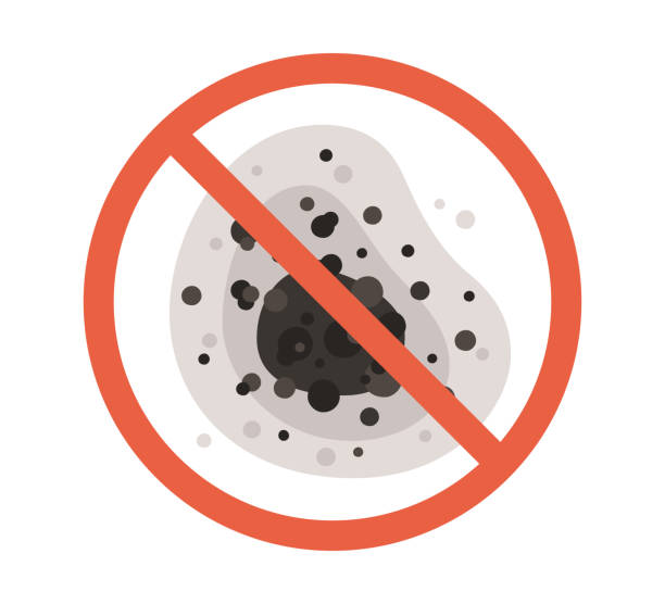 Best Black Mold Removal  in Mclean, TX