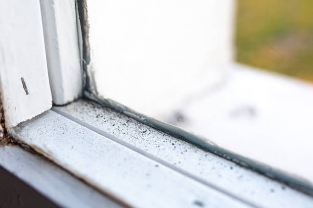 Best HVAC Mold Inspection and Cleaning  in Mclean, TX
